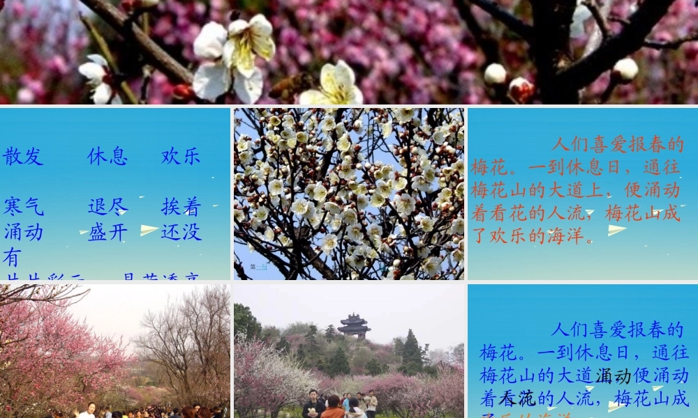 一年级语文下册 4《春到梅花山》课件 苏教版-苏教版小学一年级下册语文课件