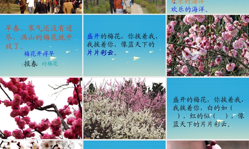 一年级语文下册 4《春到梅花山》课件 苏教版-苏教版小学一年级下册语文课件