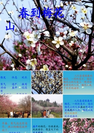 一年级语文下册 4《春到梅花山》课件 苏教版-苏教版小学一年级下册语文课件