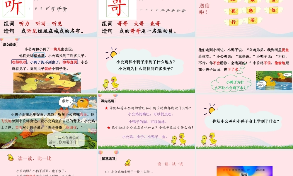 一年级语文下册 课文 2 5《小公鸡和小鸭子》课堂教学课件 新人教版-新人教版小学一年级下册语文课件