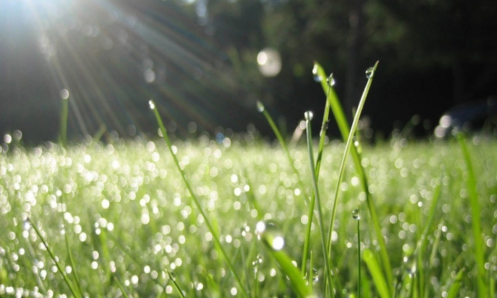 一年级语文下册 第2课《种水珠》课件3 鄂教版-鄂教版小学一年级下册语文课件