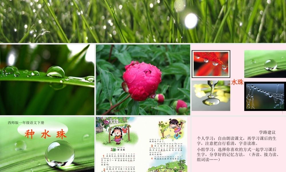 一年级语文下册 第2课《种水珠》课件3 鄂教版-鄂教版小学一年级下册语文课件