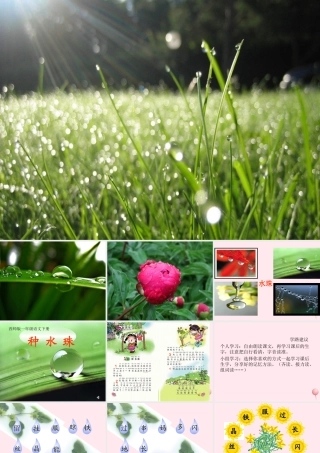 一年级语文下册 第2课《种水珠》课件3 鄂教版-鄂教版小学一年级下册语文课件