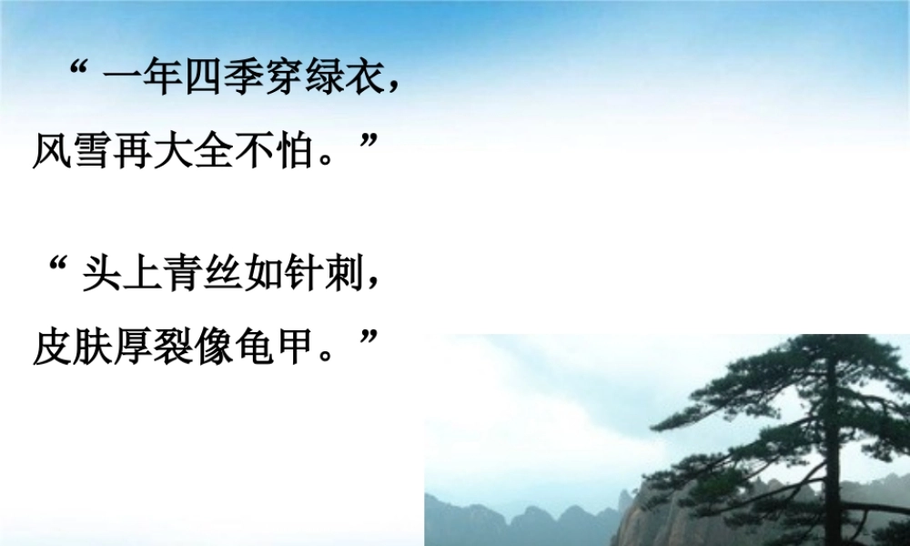 一年级语文下册 8 小松树和大松树课件 苏教版-苏教版小学一年级下册语文课件