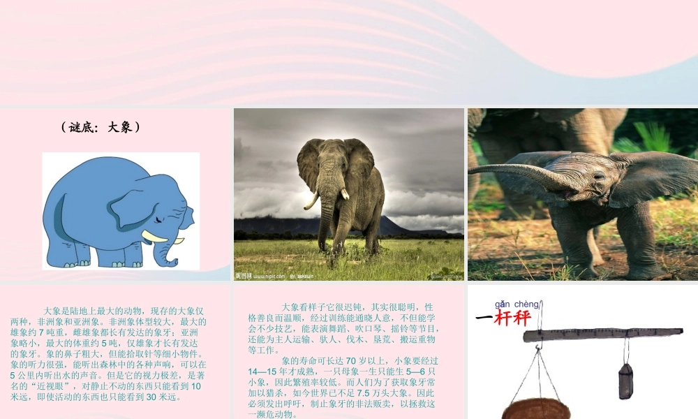 一年级语文下册 第7单元《曹冲称象》课件1 长春版-长春版小学一年级下册语文课件