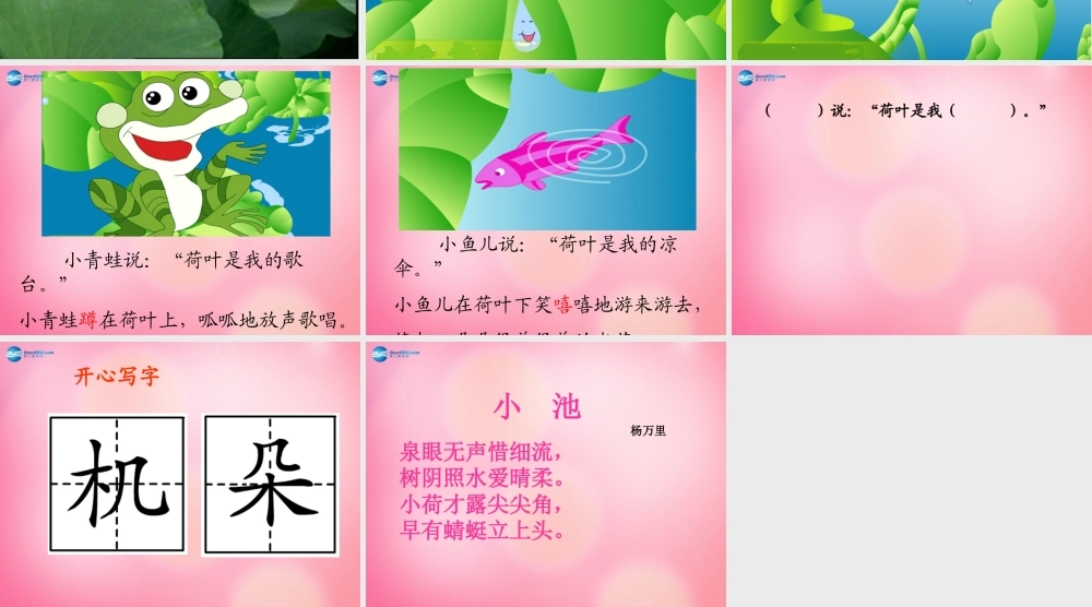 一年级语文下册 14 荷叶圆圆教学课件 新人教版-新人教版小学一年级下册语文课件
