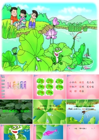 一年级语文下册 14 荷叶圆圆教学课件 新人教版-新人教版小学一年级下册语文课件