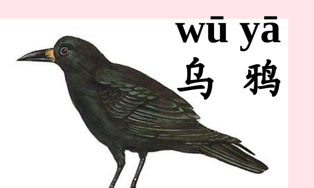 一年级语文下册 第7单元《乌鸦喝水》课件1 长春版-长春版小学一年级下册语文课件