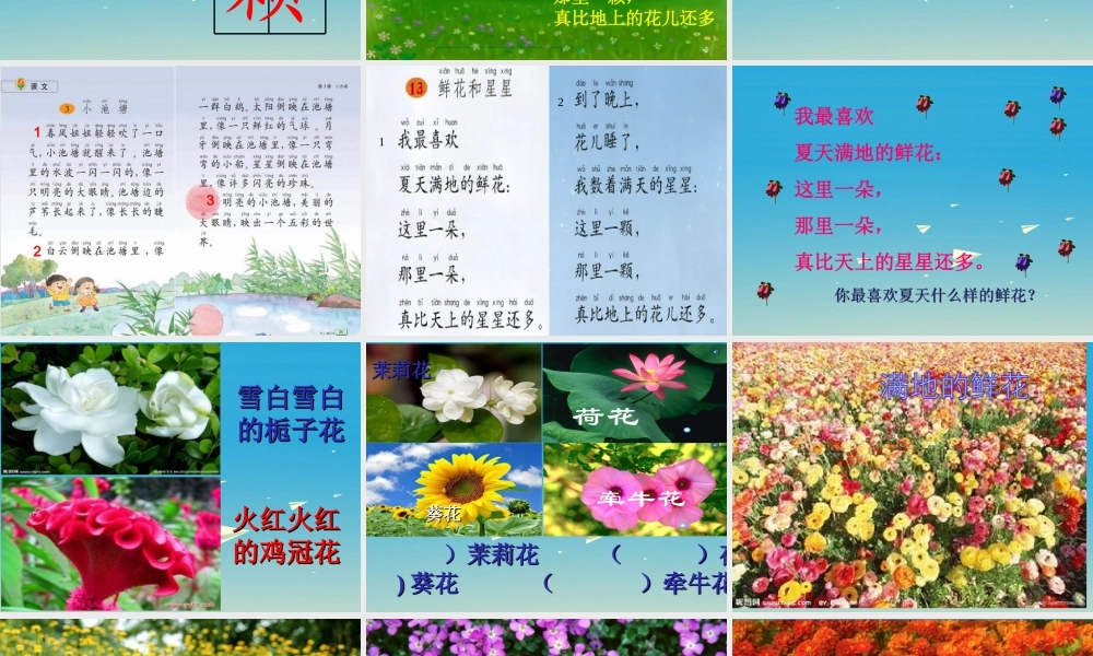 一年级语文下册 14 鲜花和星星课件 苏教版-苏教版小学一年级下册语文课件