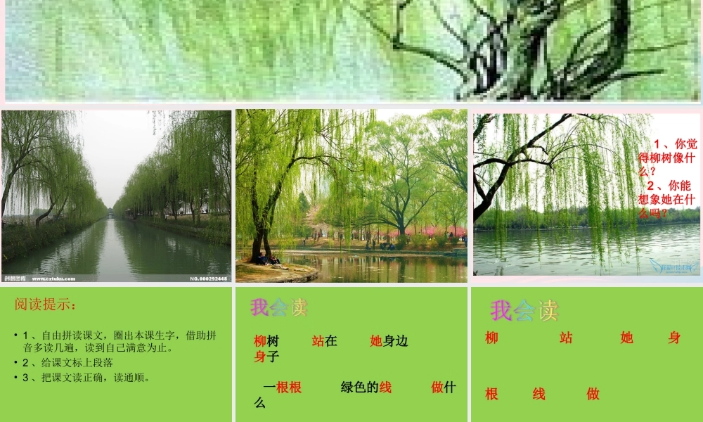 一年级语文下册 第7课《柳树》课件1 冀教版-冀教版小学一年级下册语文课件