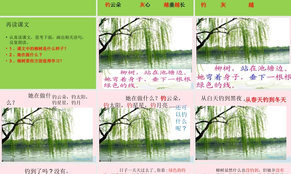 一年级语文下册 第7课《柳树》课件1 冀教版-冀教版小学一年级下册语文课件