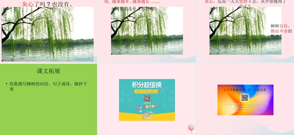 一年级语文下册 第7课《柳树》课件1 冀教版-冀教版小学一年级下册语文课件