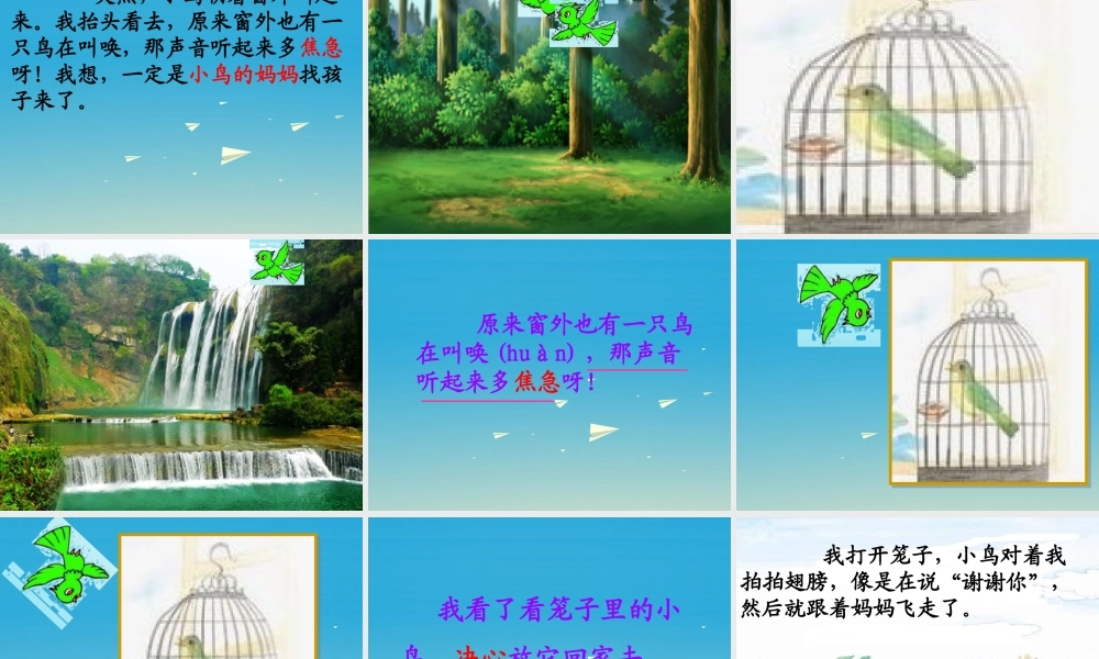 一年级语文下册 15 放小鸟课件 苏教版-苏教版小学一年级下册语文课件