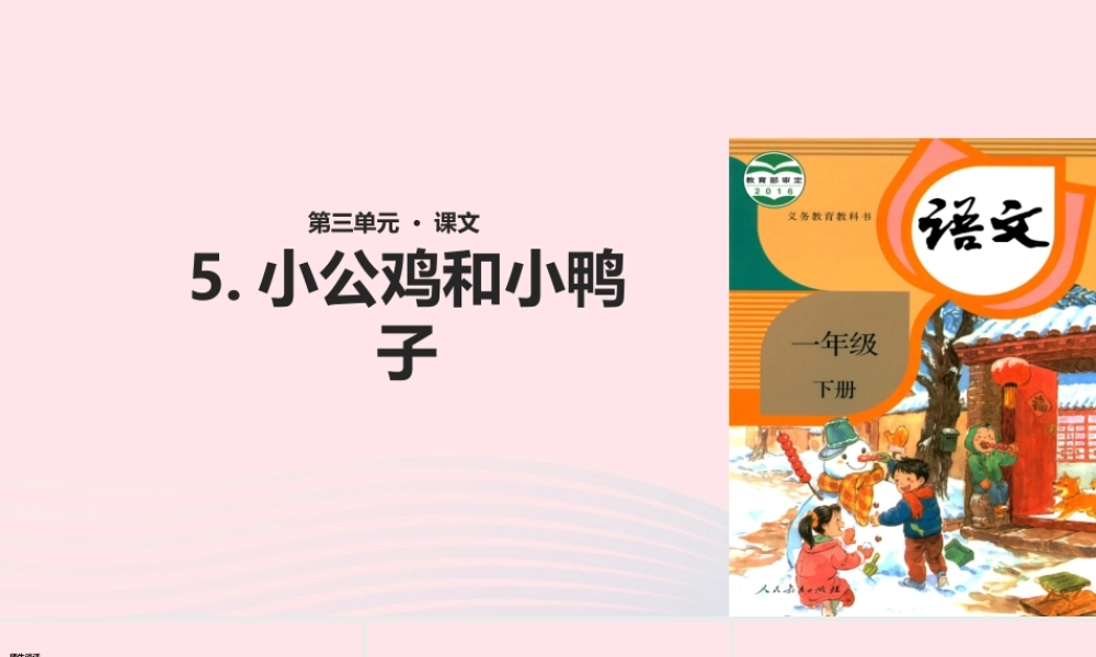 一年级语文下册 课文 2 第5课《小公鸡和小鸭子》教学课件 新人教版-新人教版小学一年级下册语文课件
