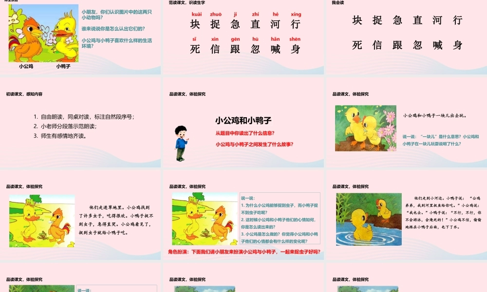 一年级语文下册 课文 2 第5课《小公鸡和小鸭子》教学课件 新人教版-新人教版小学一年级下册语文课件