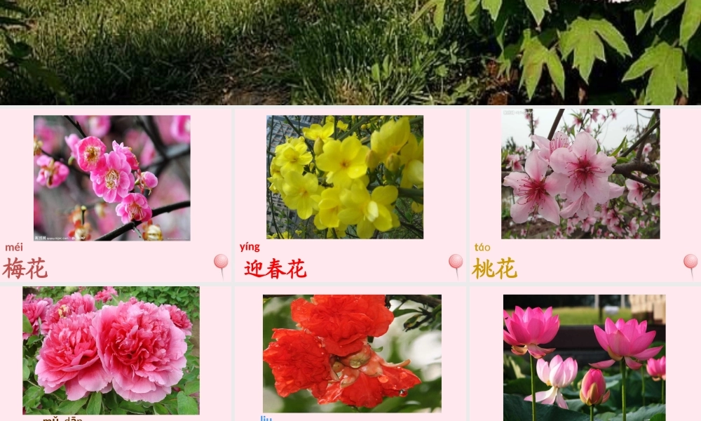 一年级语文下册 第8单元《花名歌》课件2 长春版-长春版小学一年级下册语文课件