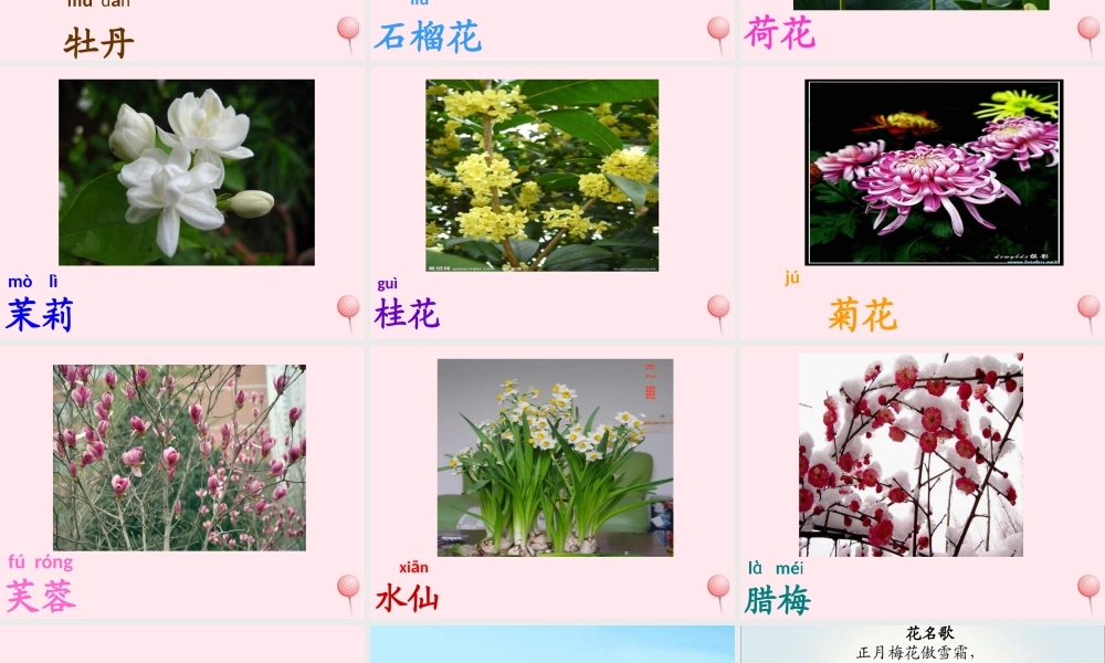 一年级语文下册 第8单元《花名歌》课件2 长春版-长春版小学一年级下册语文课件