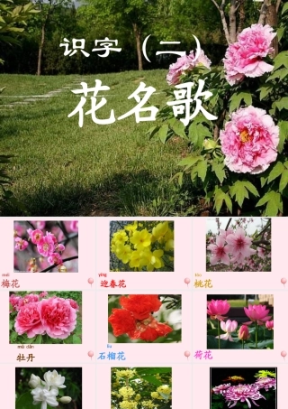 一年级语文下册 第8单元《花名歌》课件2 长春版-长春版小学一年级下册语文课件