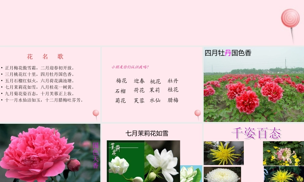 一年级语文下册 第8单元《花名歌》课件3 长春版-长春版小学一年级下册语文课件