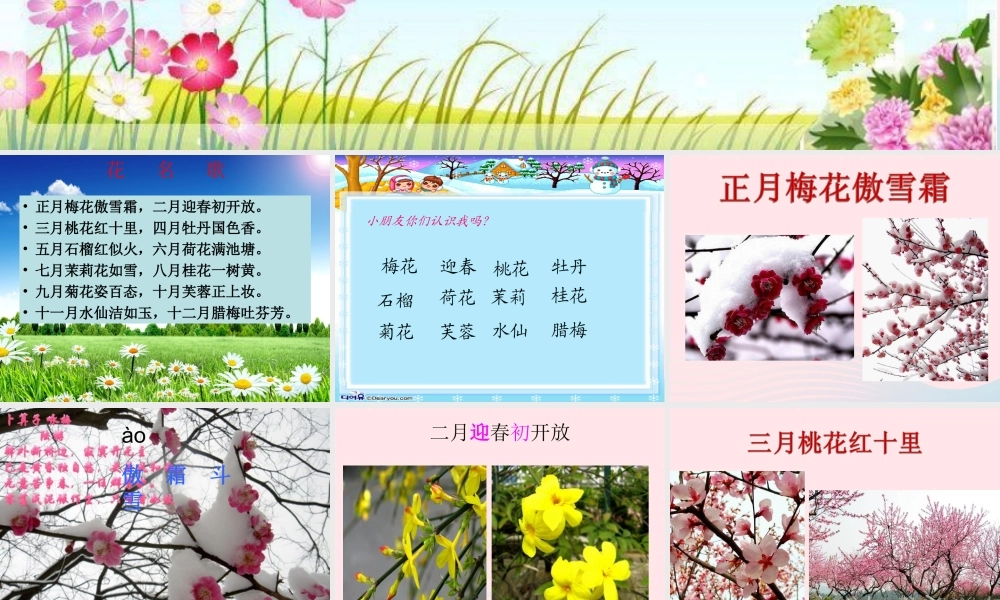 一年级语文下册 第8单元《花名歌》课件4 长春版-长春版小学一年级下册语文课件