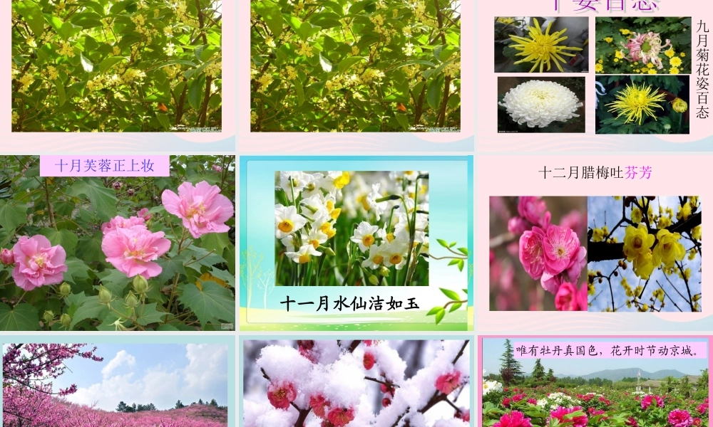 一年级语文下册 第8单元《花名歌》课件4 长春版-长春版小学一年级下册语文课件