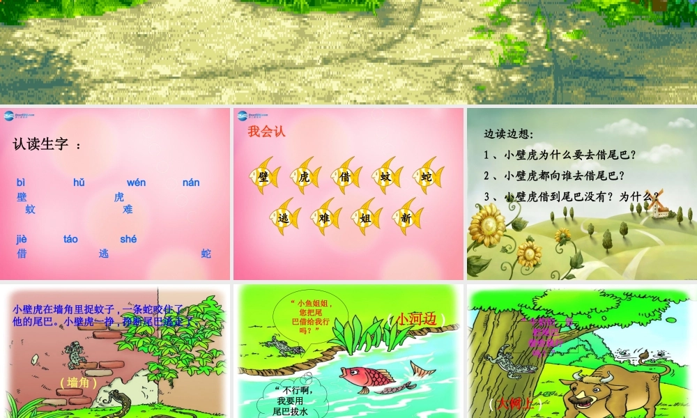 一年级语文下册 17 小壁虎借尾巴教学课件 新人教版-新人教版小学一年级下册语文课件