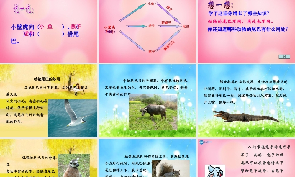 一年级语文下册 17 小壁虎借尾巴教学课件 新人教版-新人教版小学一年级下册语文课件