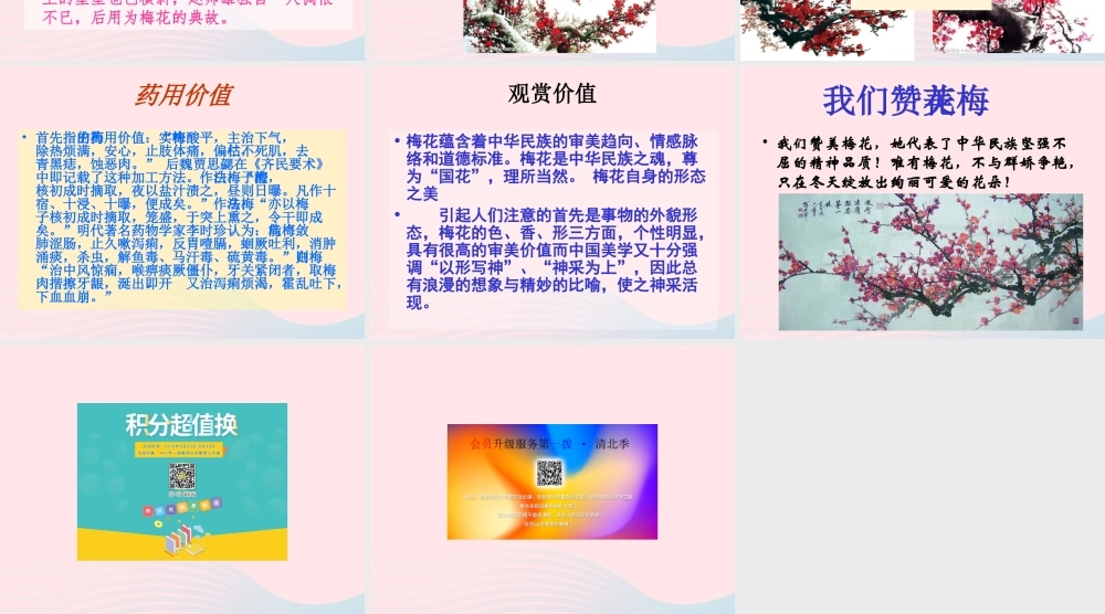 一年级语文下册 第8单元《梅花》课件 长春版-长春版小学一年级下册语文课件