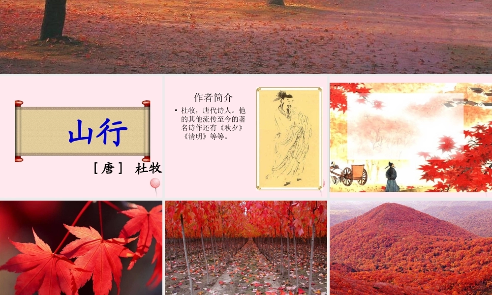 一年级语文下册 第8单元《山行》课件3 长春版-长春版小学一年级下册语文课件