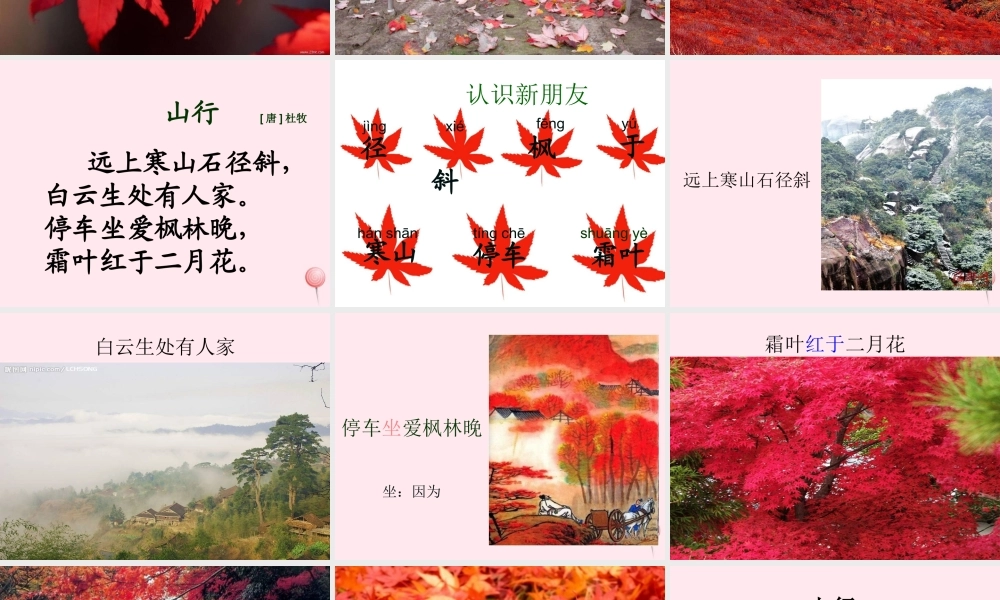 一年级语文下册 第8单元《山行》课件3 长春版-长春版小学一年级下册语文课件