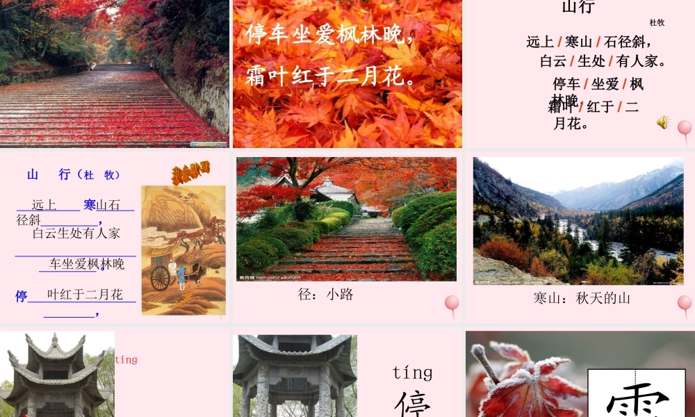 一年级语文下册 第8单元《山行》课件3 长春版-长春版小学一年级下册语文课件