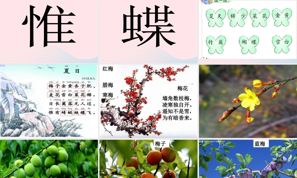 一年级语文下册 第8单元《夏日》课件 长春版-长春版小学一年级下册语文课件