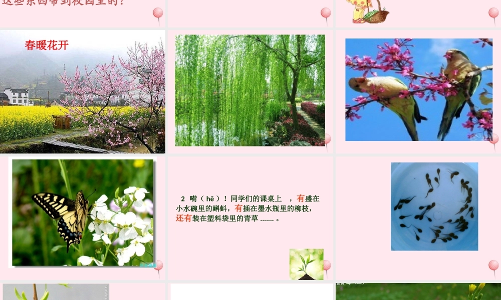 一年级语文下册 第3课《有趣的作业》课件3 鄂教版-鄂教版小学一年级下册语文课件