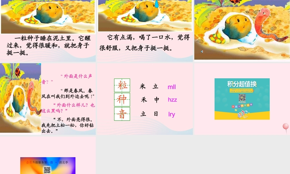 一年级语文下册 第二单元 第7课《一粒种子》课件1 北京版-北京版小学一年级下册语文课件