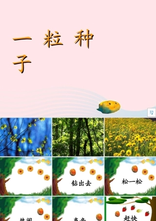 一年级语文下册 第二单元 第7课《一粒种子》课件1 北京版-北京版小学一年级下册语文课件