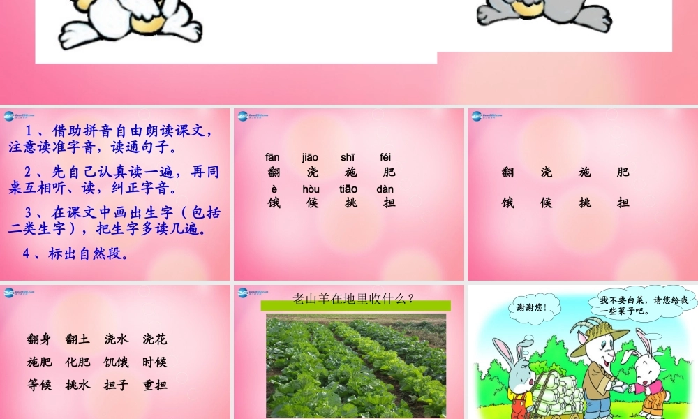 一年级语文下册 26 小白兔和小灰兔教学课件 新人教版-新人教版小学一年级下册语文课件