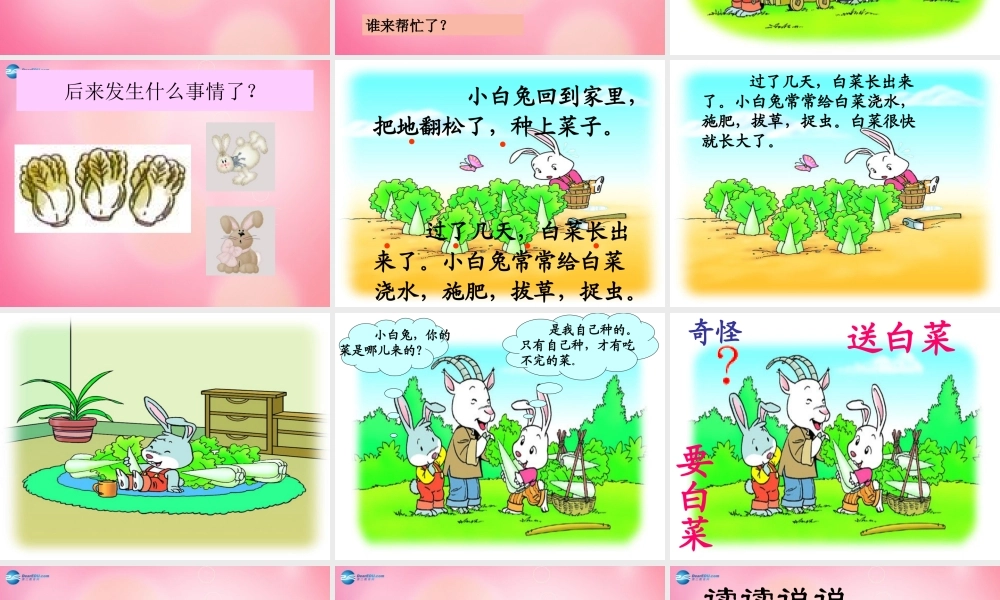 一年级语文下册 26 小白兔和小灰兔教学课件 新人教版-新人教版小学一年级下册语文课件