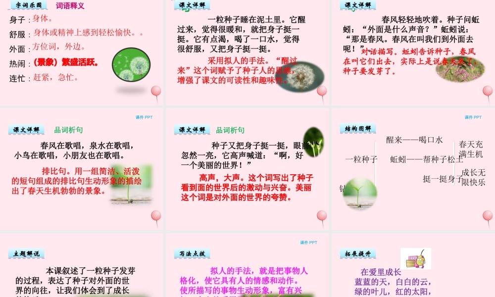 一年级语文下册 第二单元 第7课《一粒种子》课件2 北京版-北京版小学一年级下册语文课件