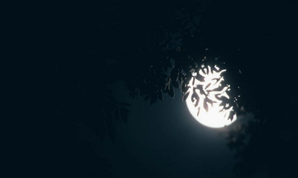 一年级语文下册 第4单元 15《月亮和云彩》课件2 语文S版-语文S版小学一年级下册语文课件