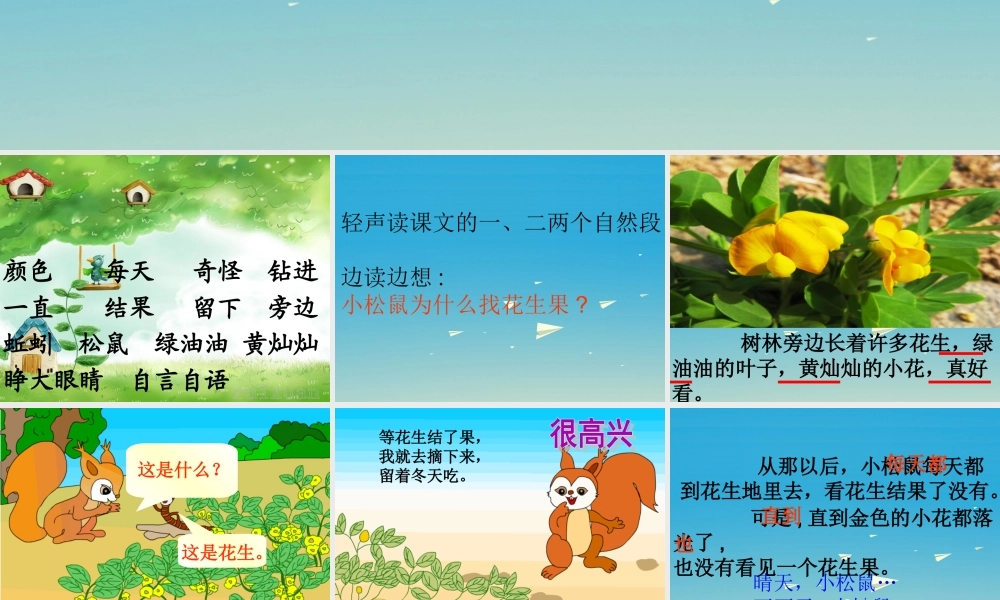 一年级语文下册 26 小松鼠找花生果（第1课时）课件 苏教版-苏教版小学一年级下册语文课件