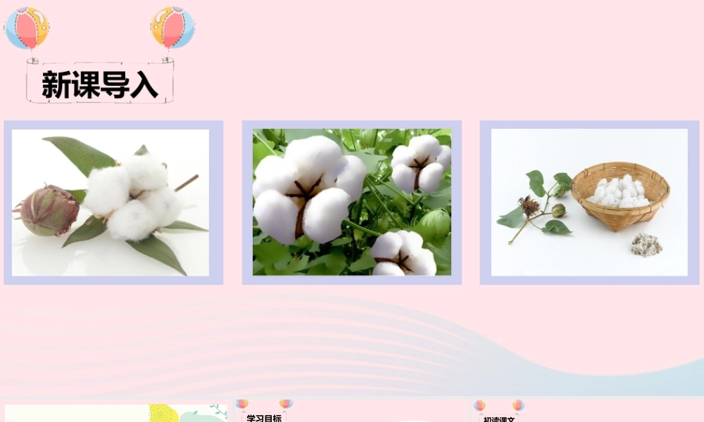 一年级语文下册 课文 6 19《棉花姑娘》课堂教学课件 新人教版-新人教版小学一年级下册语文课件