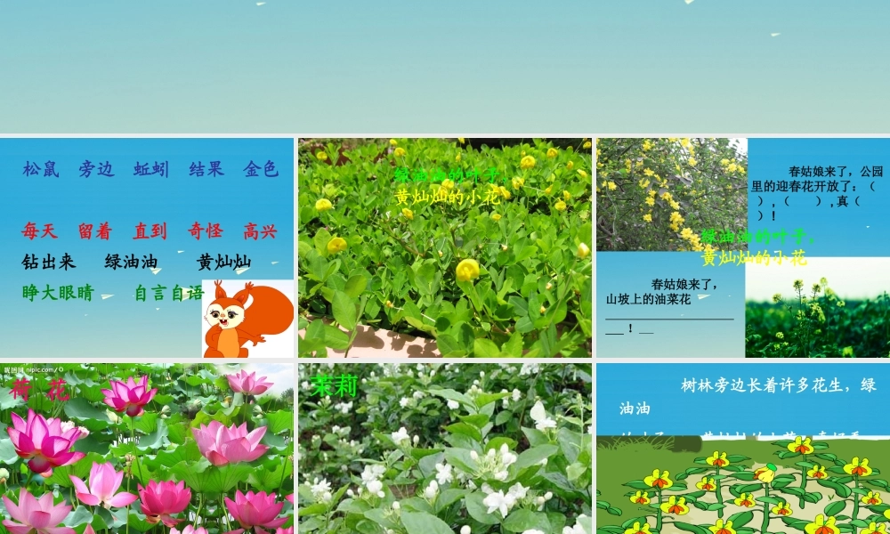 一年级语文下册 26 小松鼠找花生果（第2课时）课件 苏教版-苏教版小学一年级下册语文课件