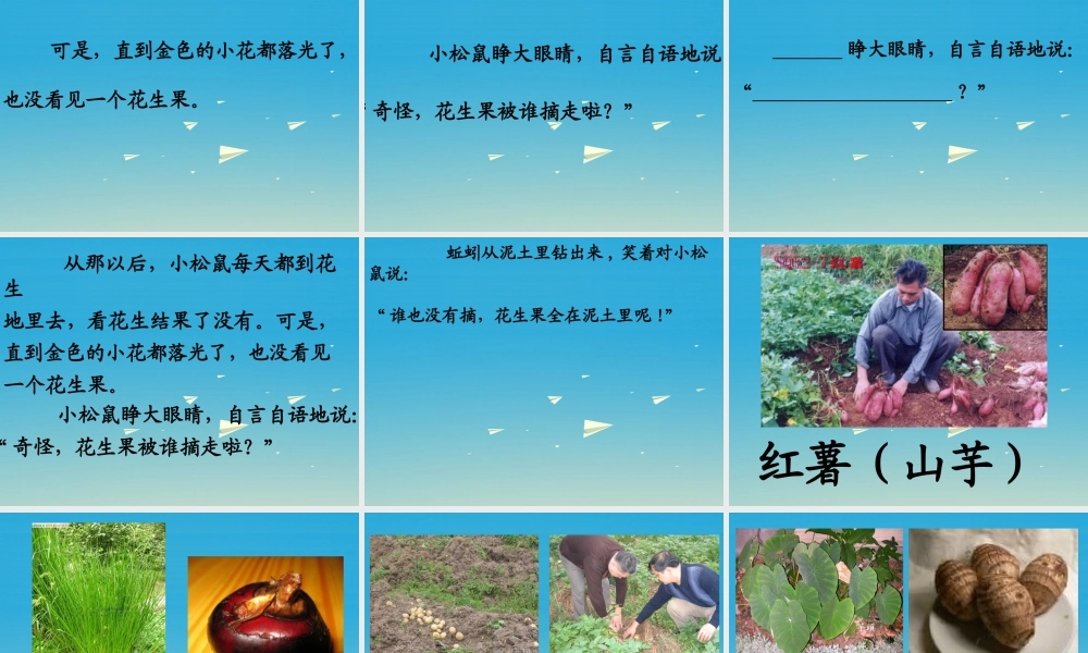 一年级语文下册 26 小松鼠找花生果（第2课时）课件 苏教版-苏教版小学一年级下册语文课件