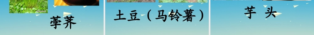 一年级语文下册 26 小松鼠找花生果（第2课时）课件 苏教版-苏教版小学一年级下册语文课件
