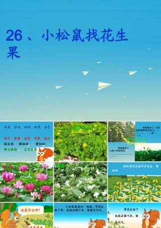 一年级语文下册 26 小松鼠找花生果（第2课时）课件 苏教版-苏教版小学一年级下册语文课件