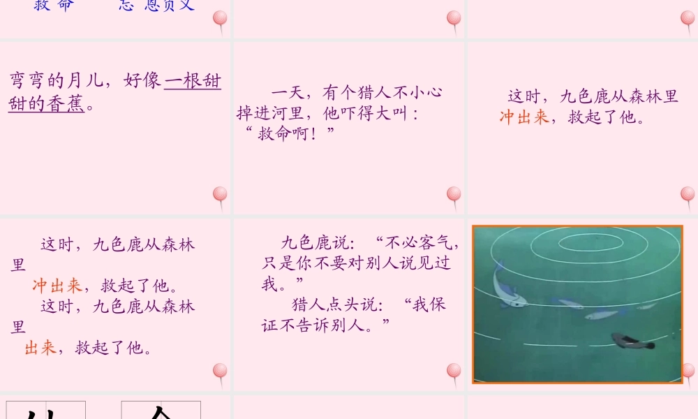 一年级语文下册 第九色鹿》课件4 鄂教版-鄂教级下册语文课件