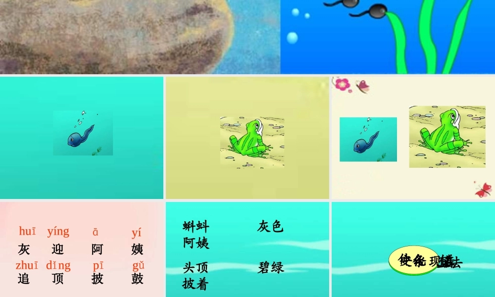 一年级语文下册 第4单元 17《小蝌蚪找妈妈》课件3 语文S版-语文S版小学一年级下册语文课件