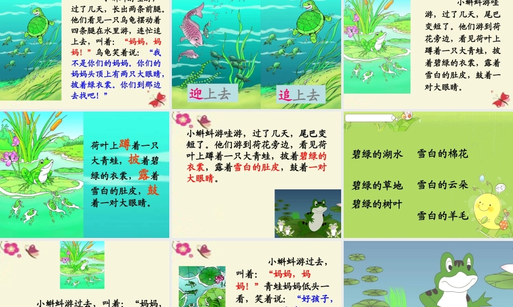 一年级语文下册 第4单元 17《小蝌蚪找妈妈》课件3 语文S版-语文S版小学一年级下册语文课件