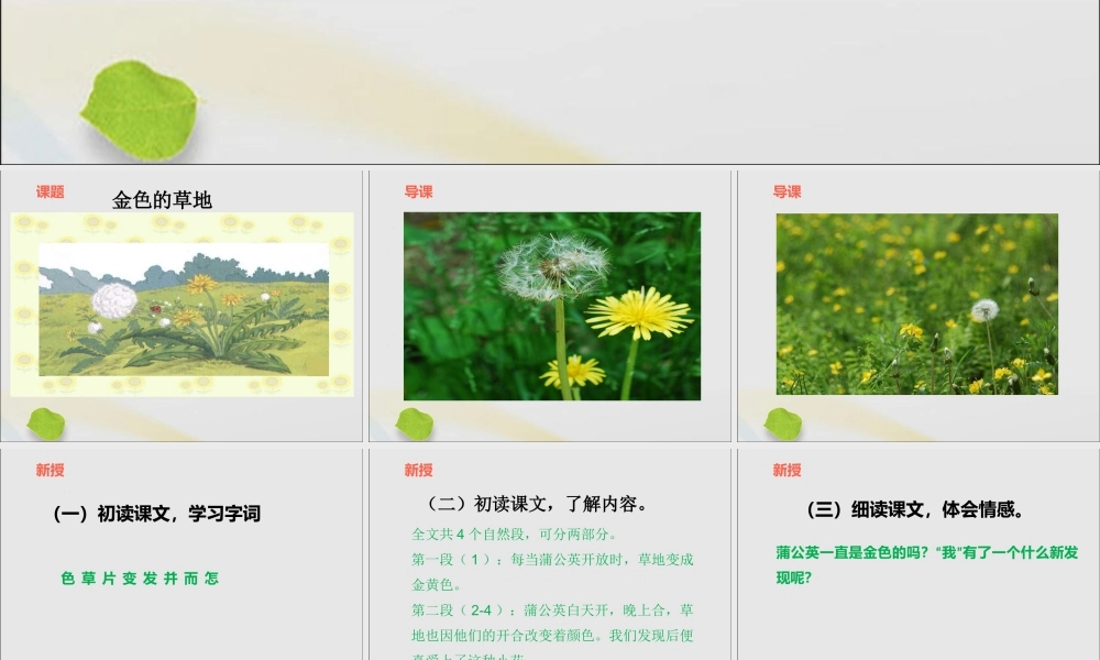 一年级语文下册 第六单元 17《金色的草地》课件 鄂教版-鄂教版小学一年级下册语文课件