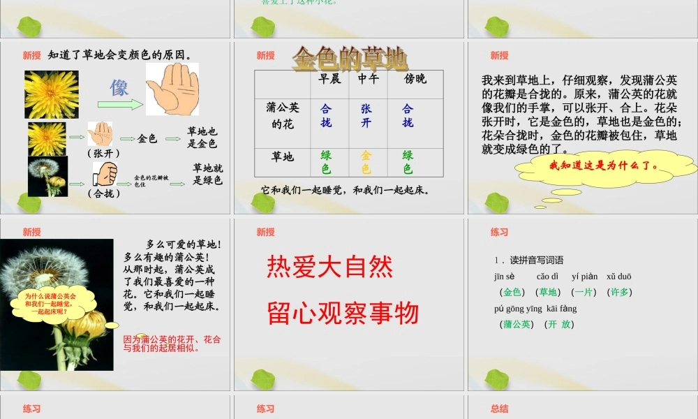 一年级语文下册 第六单元 17《金色的草地》课件 鄂教版-鄂教版小学一年级下册语文课件
